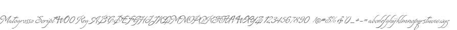 Matogrosso Script W00 Reg