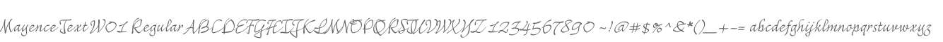 Mayence Text W01 Regular
