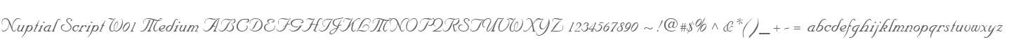 Nuptial Script W01 Medium