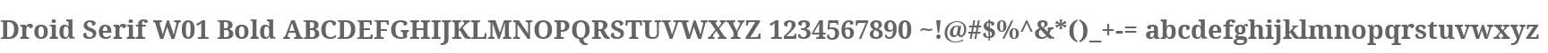 Droid Serif W01 Bold