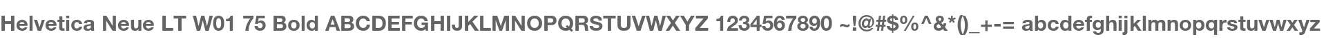 Helvetica Neue LT W01 75 Bold