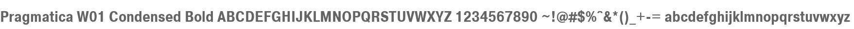 Pragmatica W01 Condensed Bold