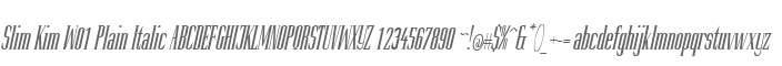 Slim Kim W01 Plain Italic