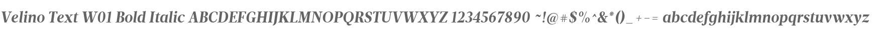 Velino Text W01 Bold Italic