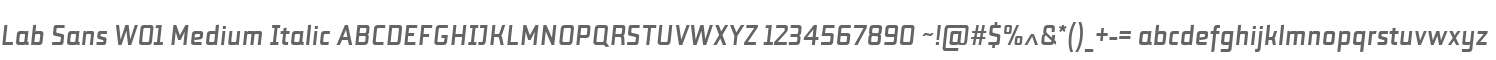 Lab Sans W01 Medium Italic