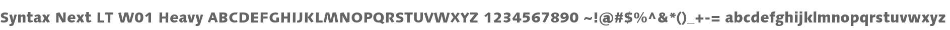 Syntax Next LT W01 Heavy