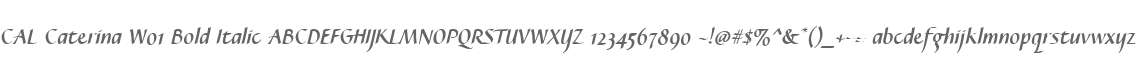 CAL Caterina W01 Bold Italic