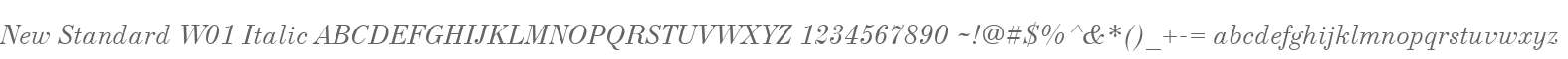 New Standard W01 Italic