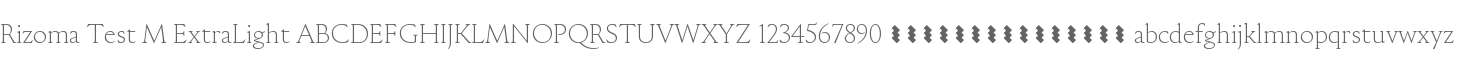 Rizoma Test M ExtraLight