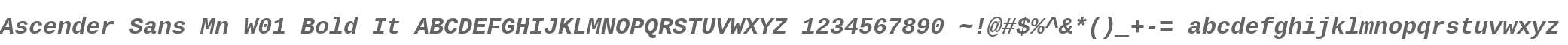 Ascender Sans Mn W01 Bold It
