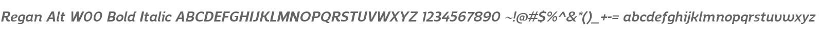 Regan Alt W00 Bold Italic
