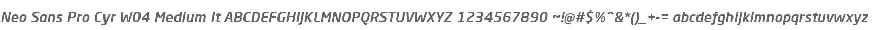 Neo Sans Pro Cyr W04 Medium It