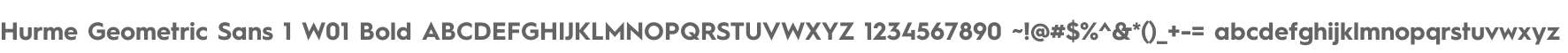 Hurme Geometric Sans 1 W01 Bold