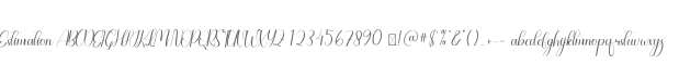 Estimation