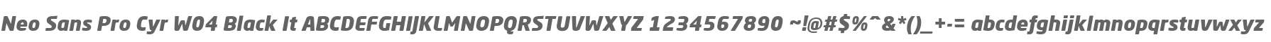 Neo Sans Pro Cyr W04 Black It
