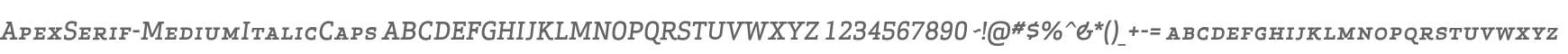 ApexSerif-MediumItalicCaps