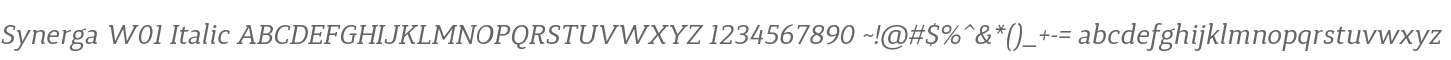Synerga W01 Italic