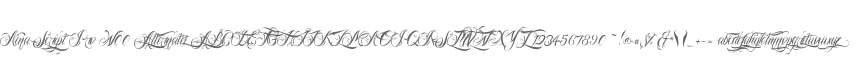 Nina Script Pro W00 Alternates
