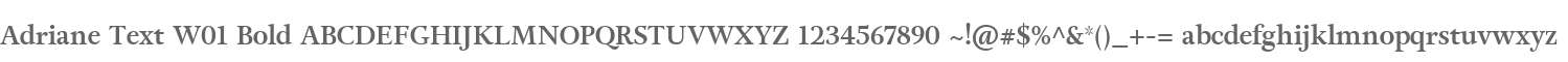 Adriane Text W01 Bold