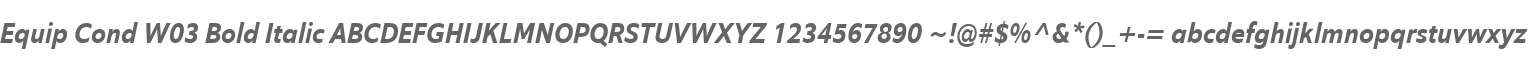 Equip Cond W03 Bold Italic
