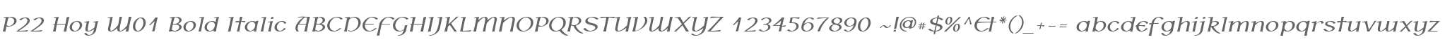 P22 Hoy W01 Bold Italic