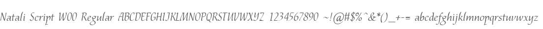 Natali Script W00 Regular