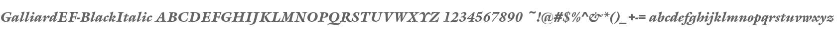 GalliardEF-BlackItalic