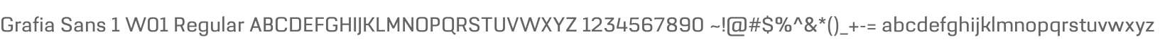 Grafia Sans 1 W01 Regular