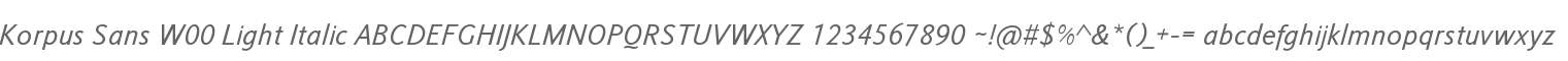 Korpus Sans W00 Light Italic