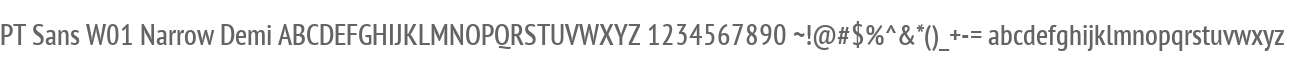 PT Sans W01 Narrow Demi