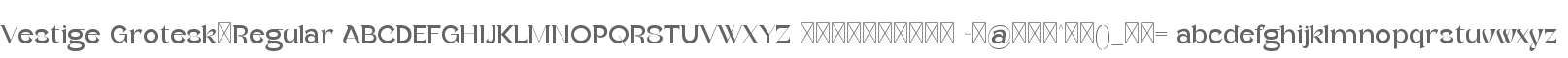 Vestige Grotesk
