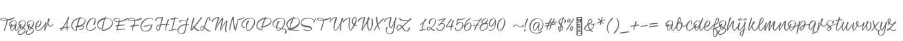Tagger