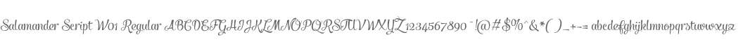 Salamander Script W01 Regular