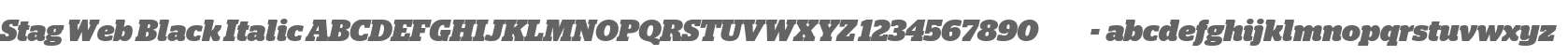 Stag Web Black Italic