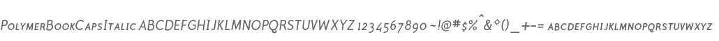 PolymerBookCapsItalic