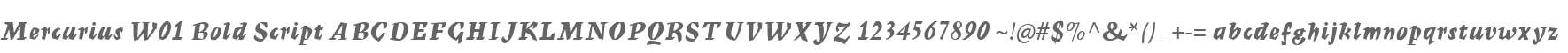 Mercurius W01 Bold Script