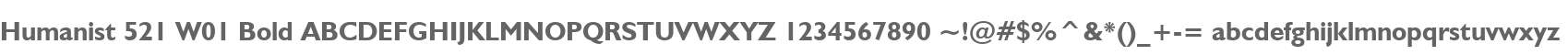 Humanist 521 W01 Bold