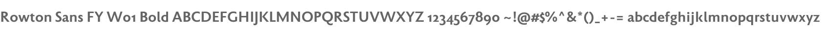 Rowton Sans FY W01 Bold