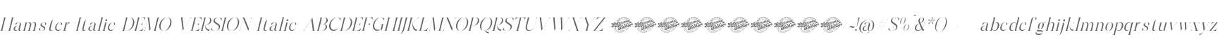 Hamster Italic DEMO VERSION