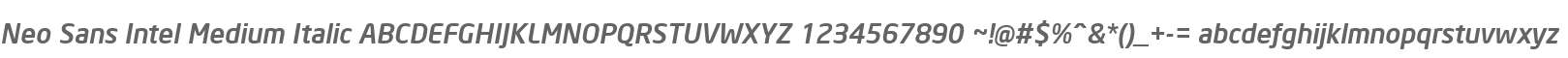 Neo Sans Intel Medium Italic