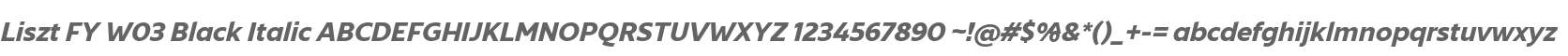 Liszt FY W03 Black Italic
