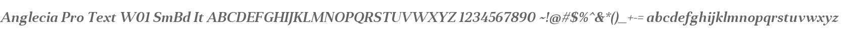 Anglecia Pro Text W01 SmBd It