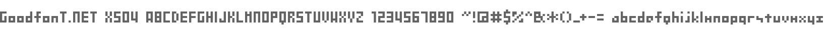 GoodfonT.NET XS04