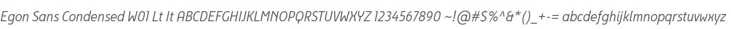 Egon Sans Condensed W01 Lt It