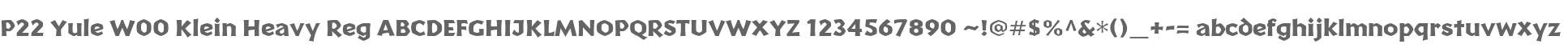 P22 Yule W00 Klein Heavy Reg