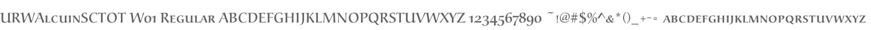 URWAlcuinSCTOT W01 Regular