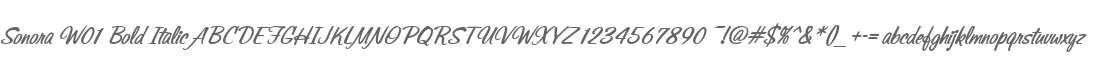 Sonora W01 Bold Italic