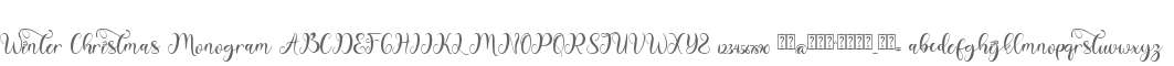Winter Christmas Monogram