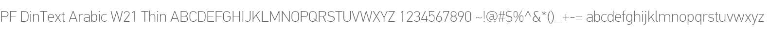 PF DinText Arabic W21 Thin