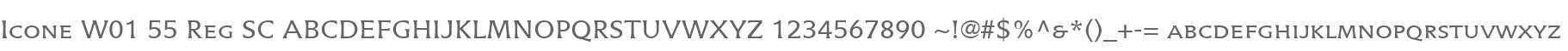 Icone W01 55 Reg SC